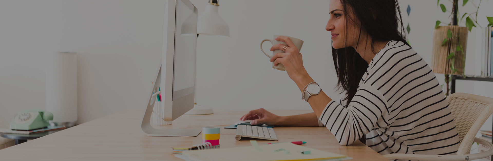 We Do Web Market investigation